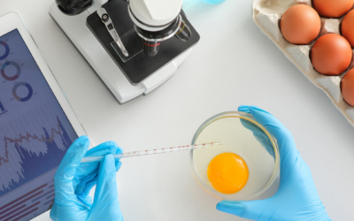 Formazione operatori alimentari: corsi e strategie per aziende